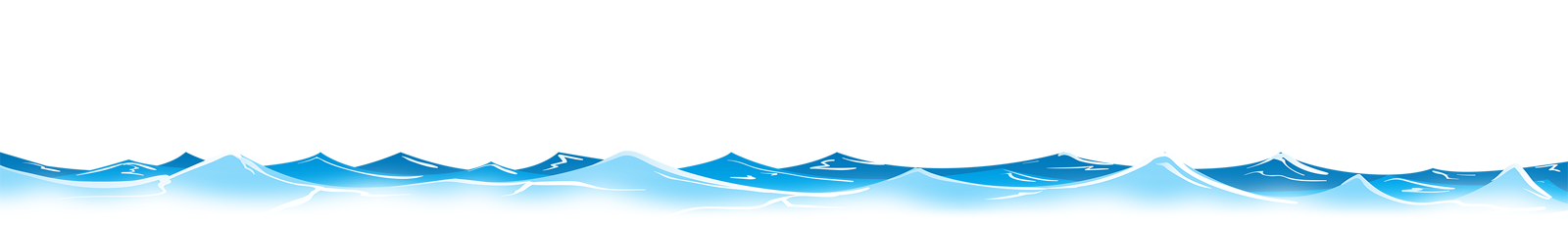 Terms And Conditions